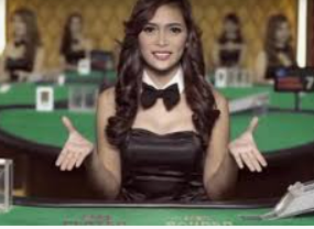 ayx大厅手机版登录入口2024最新版